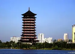 钦州龙鳞主场连战连捷，士气飞扬，表现亮眼