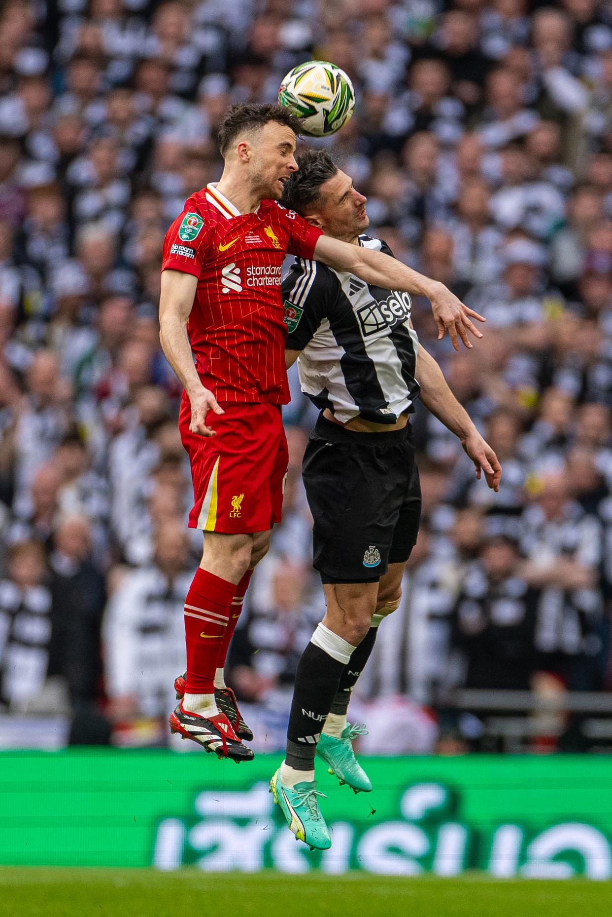 纽卡斯尔主场击败诺里奇,结束连败,表现亮眼的简单介绍 纽卡斯尔主场击败诺里奇,结束连败,表现亮眼的简单介绍