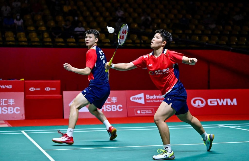 关于德国队鏖战法国队，郑思维高光表现的信息