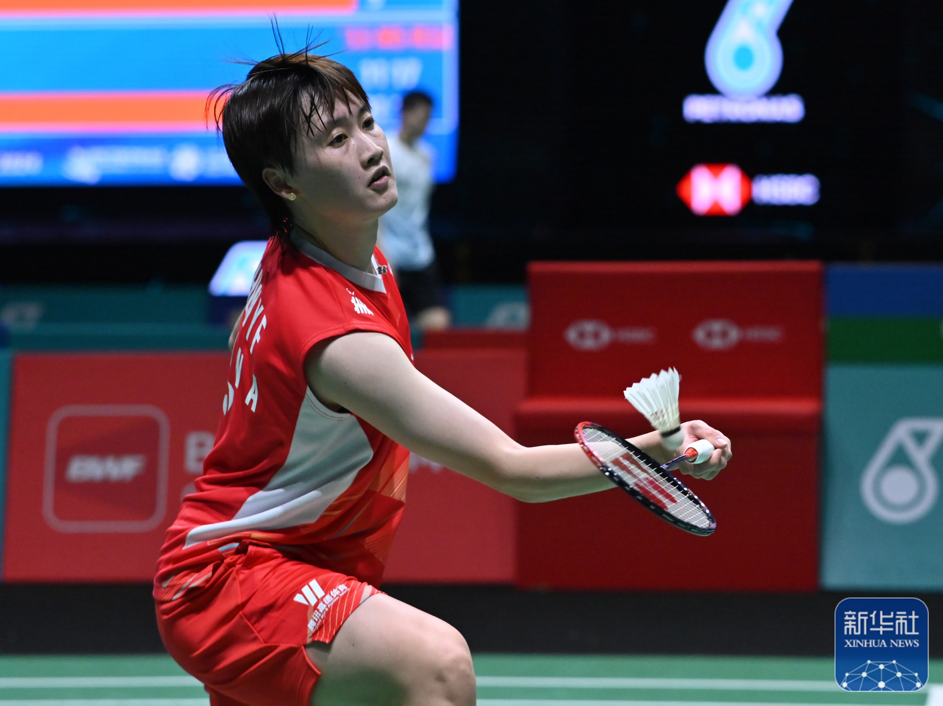 丹麦队横扫马来西亚队，陈雨菲刷新纪录